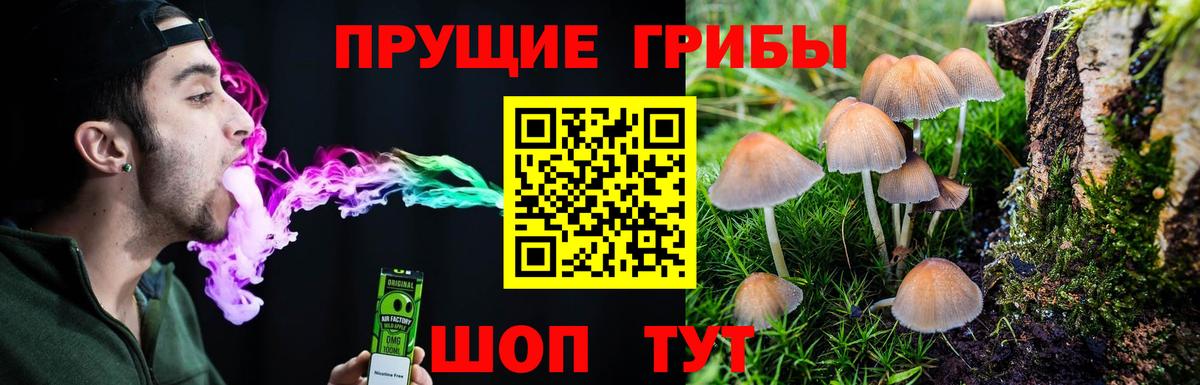 Новосибирск  Псилоцибиновые грибы мухоморы  Вход с VPN 